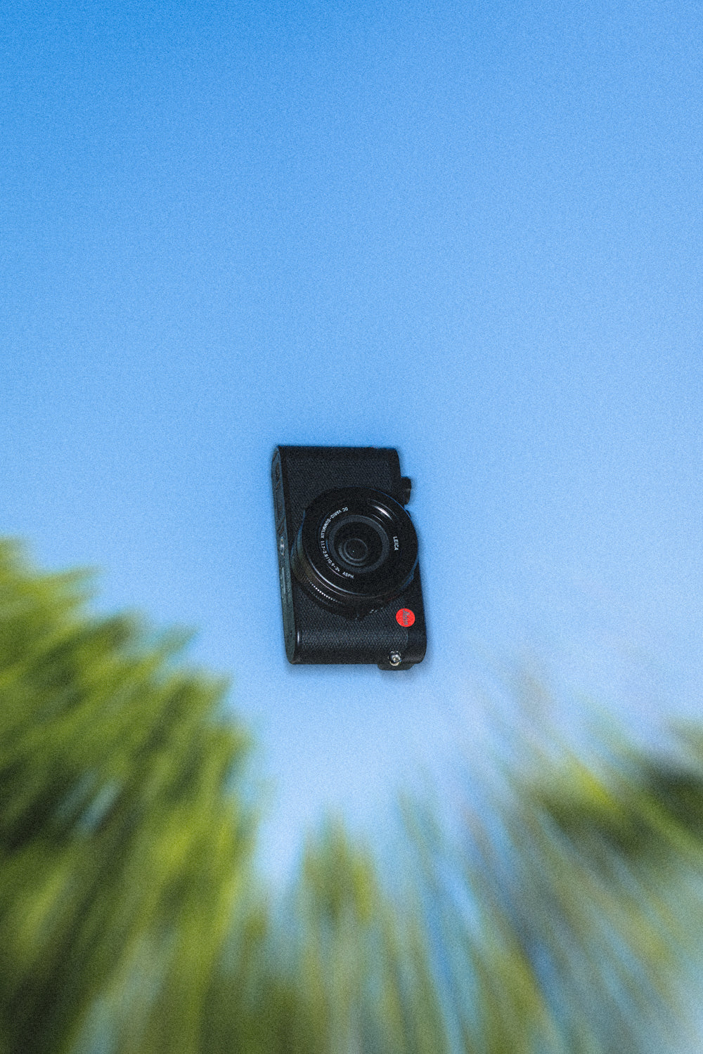 Leica D-Lux 8