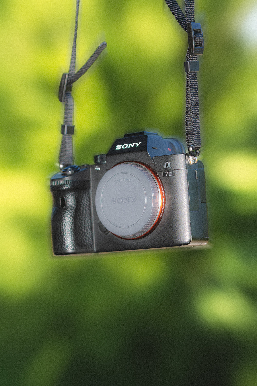 Sony A7iii