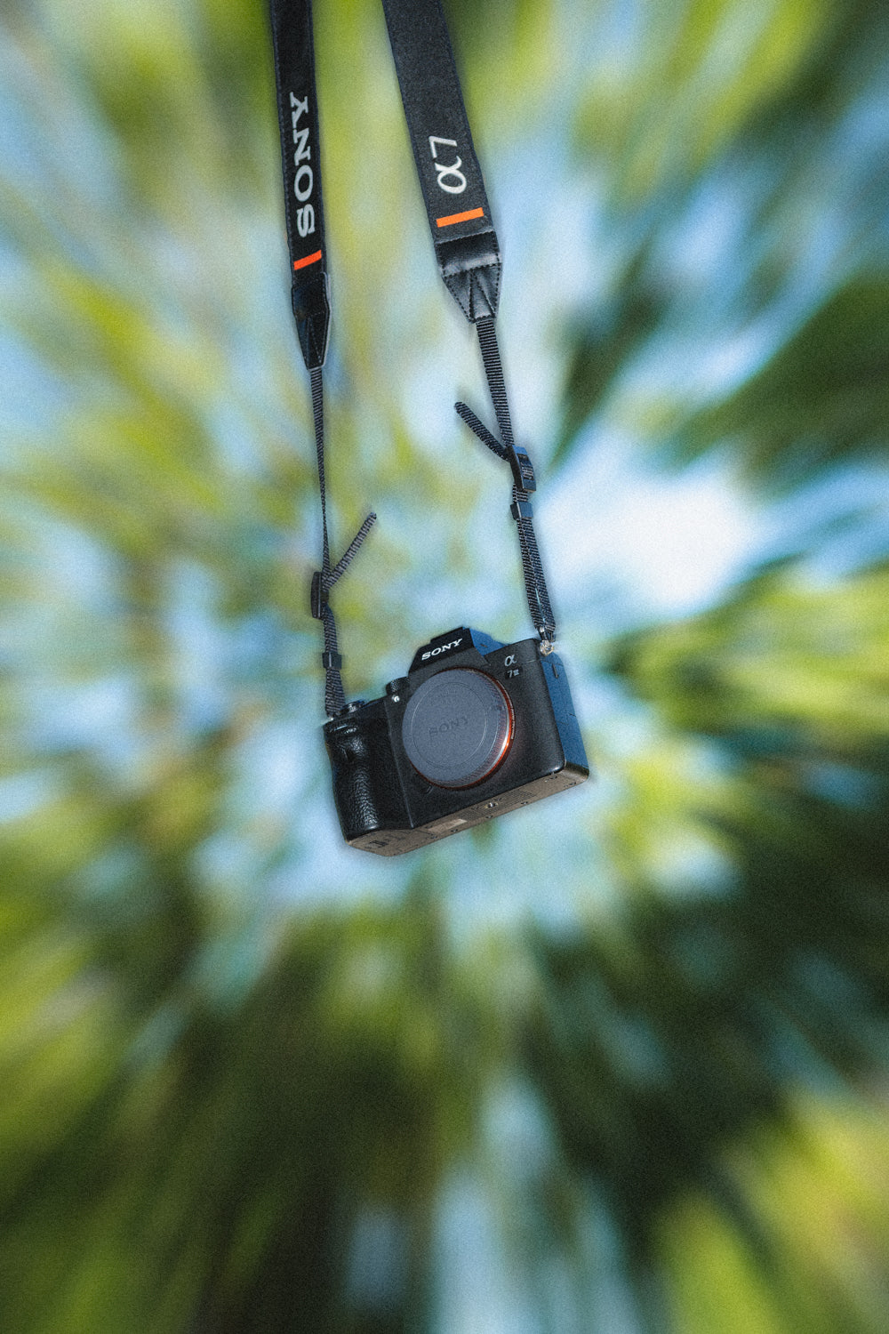 Sony A7iii