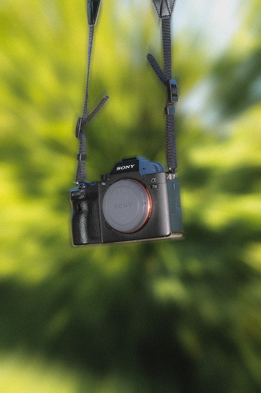 Sony A7iii